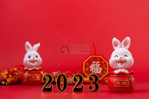 2023 水兔|2023是什么年？老人說“迎水兔 春秋不見天”